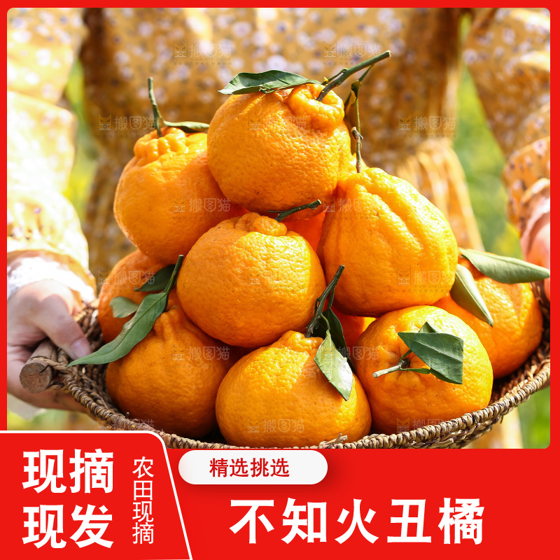 手里拿着丑八怪