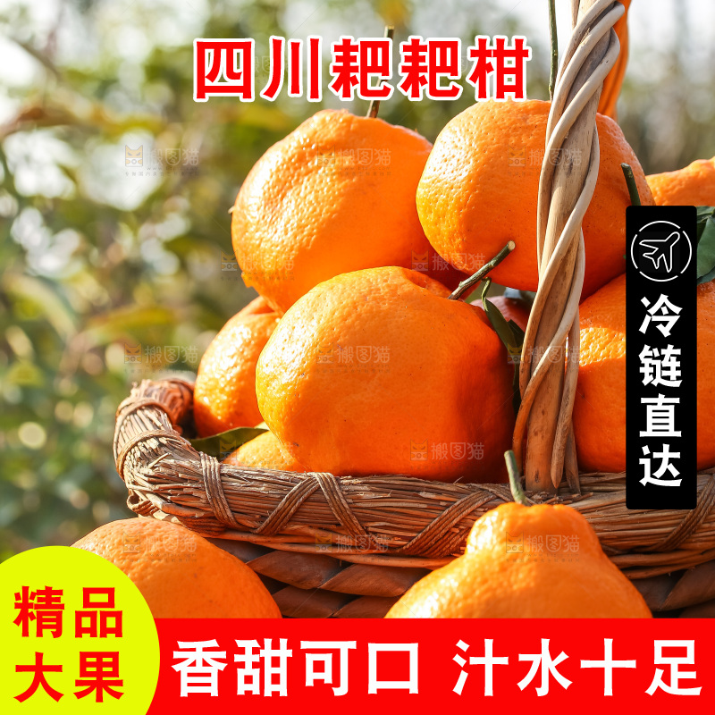 草地上的耙耙柑
