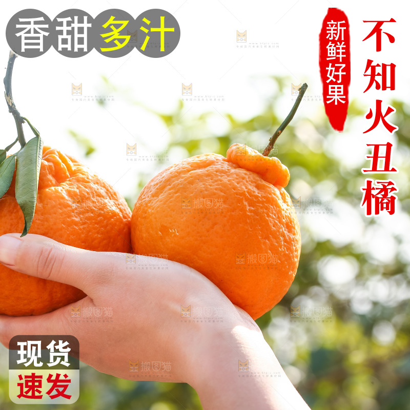手里拿着丑八怪
