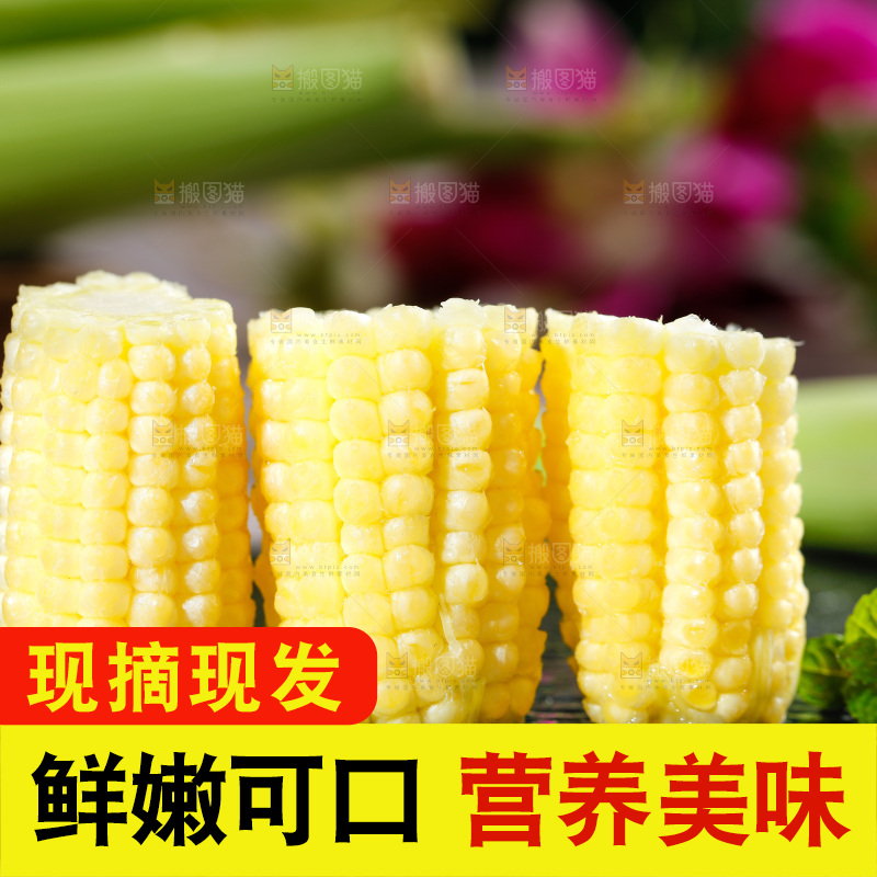 深底上的玉米笋
