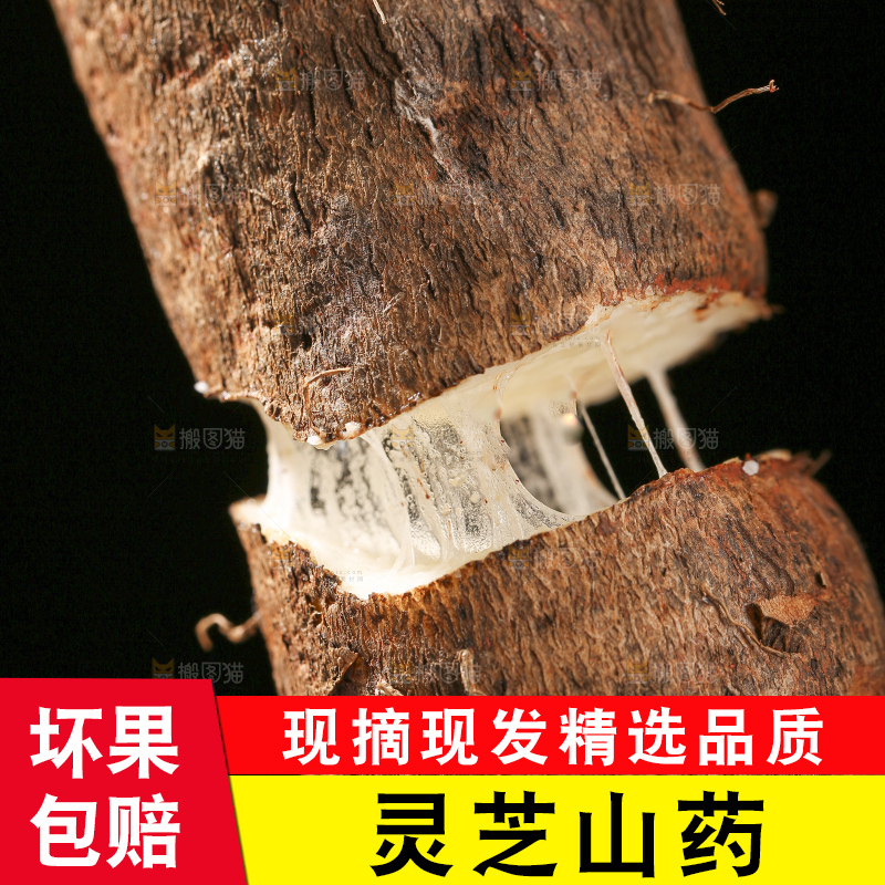 深底上放着灵芝山药