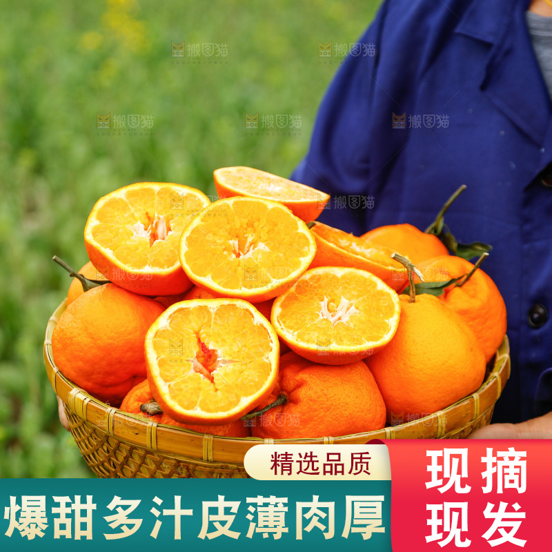 手里拿着耙耙柑