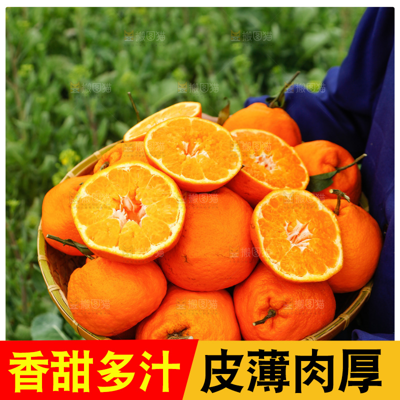 手里拿着耙耙柑