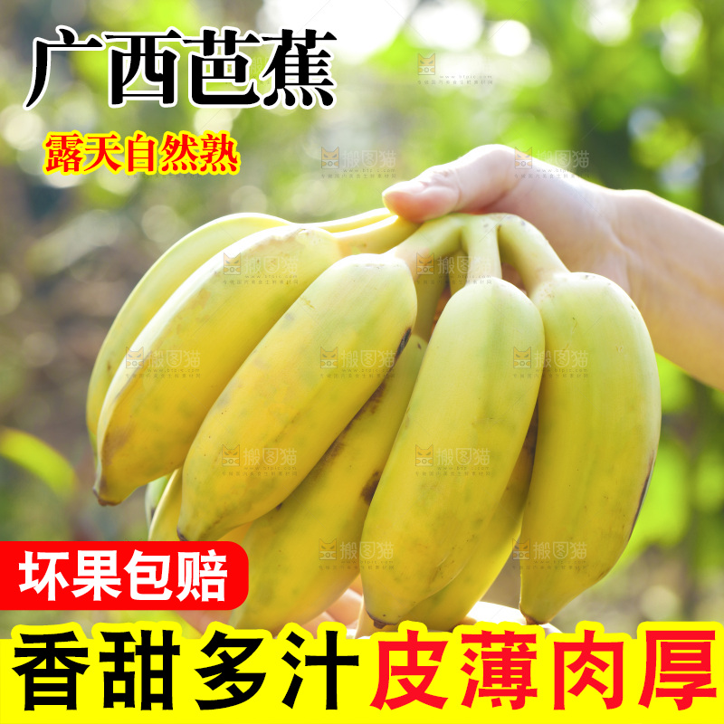 手里拿着广西芭蕉