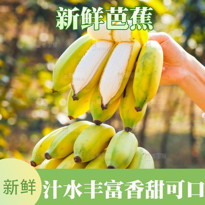 手里拿着广西芭蕉