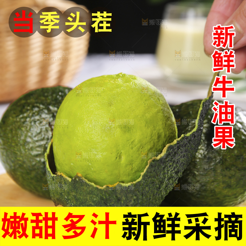 浅底上的巨无霸牛油果