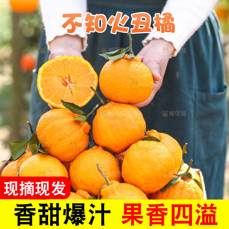手里拿着丑八怪