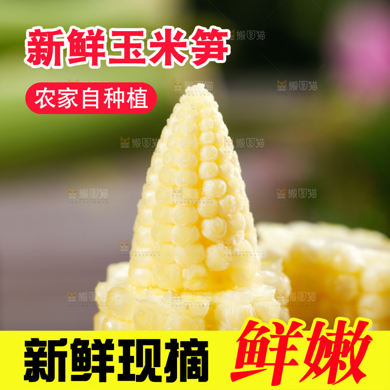 深底上的玉米笋