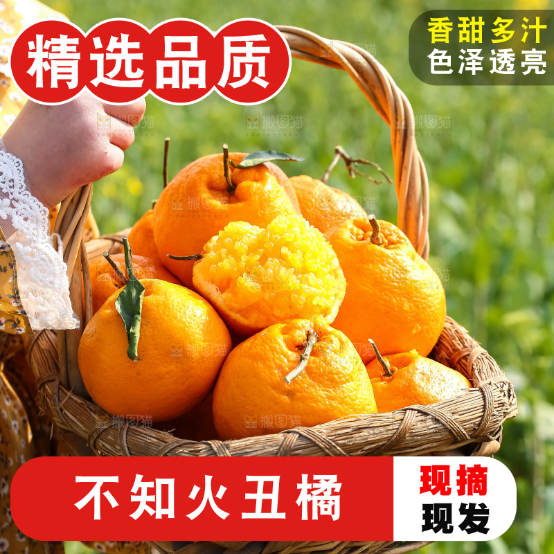 手里拿着丑八怪