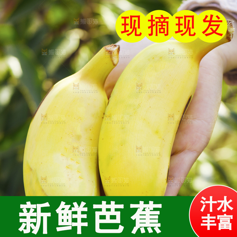 手里拿着广西芭蕉
