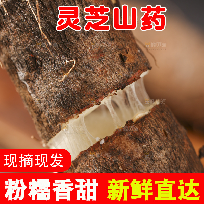 深底上放着灵芝山药