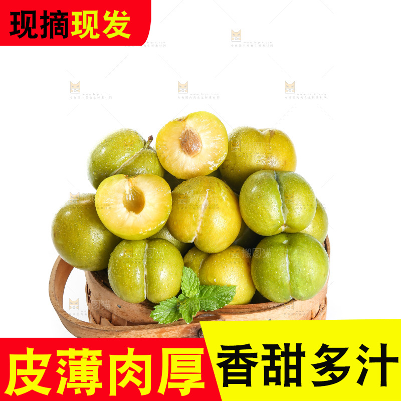 白底上的蜂糖李