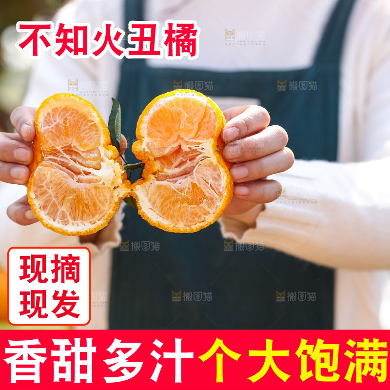 手里拿着丑八怪