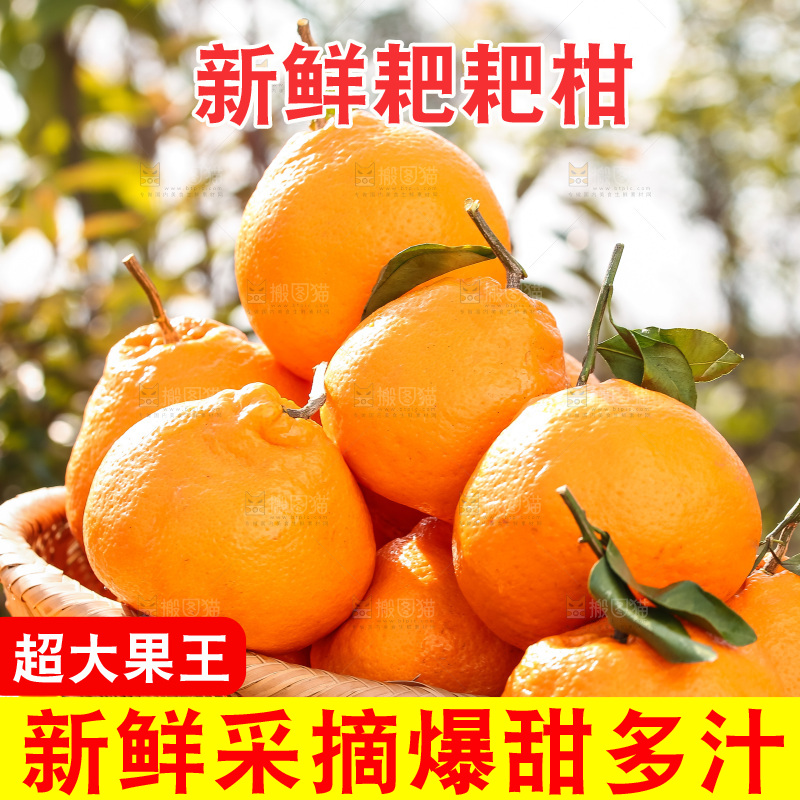 草地上的耙耙柑