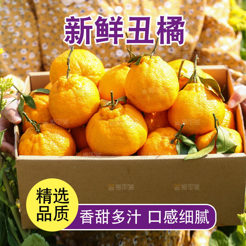 手里拿着丑八怪