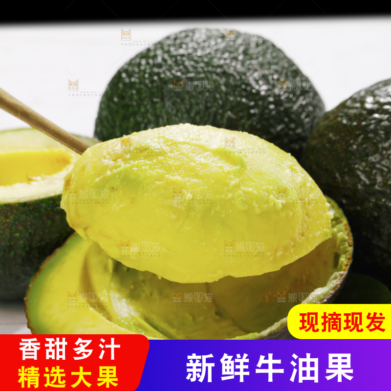 浅底上的巨无霸牛油果