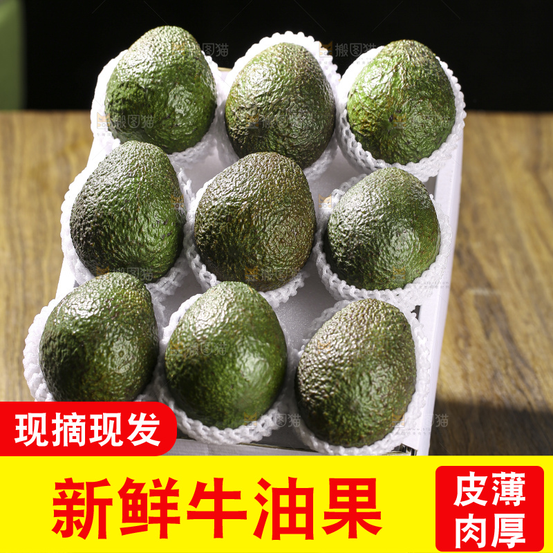 木底上的墨西哥牛油果