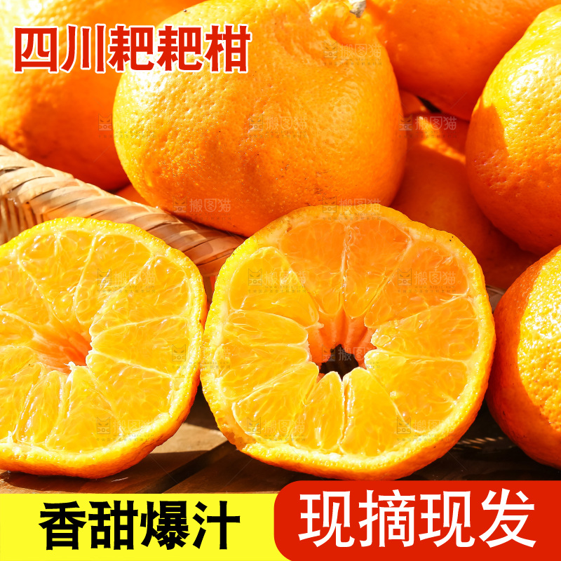 草地上的耙耙柑