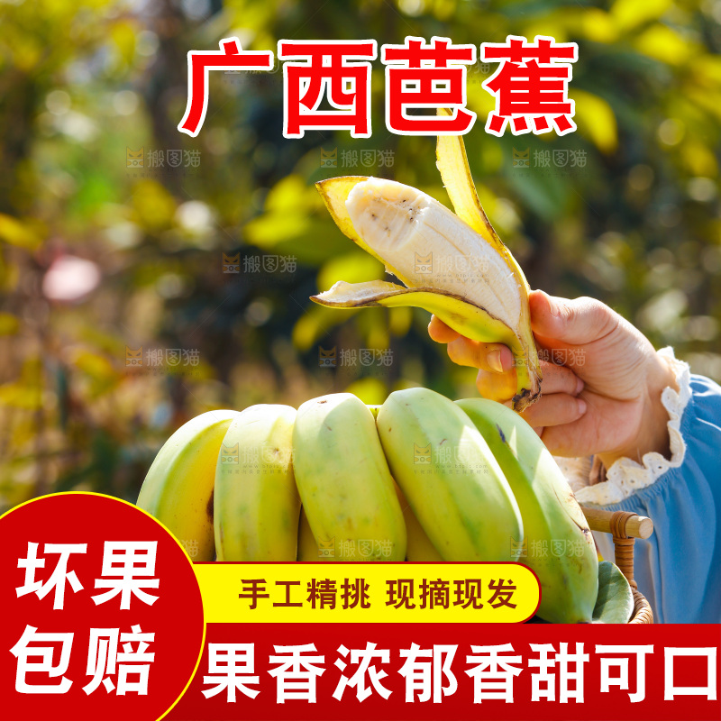 手里拿着广西芭蕉