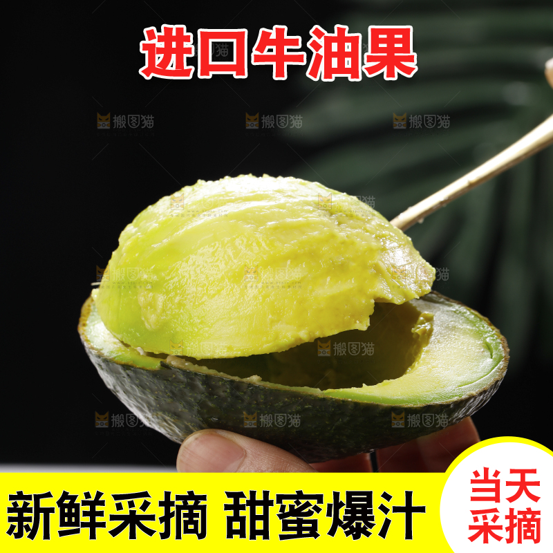 浅底上的巨无霸牛油果