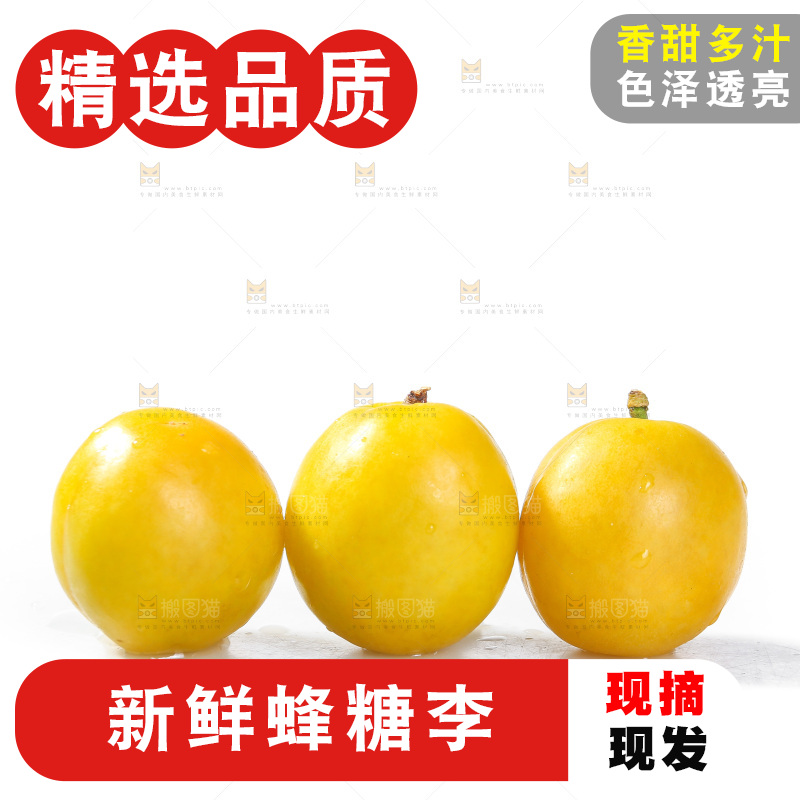 白底上的蜂糖李
