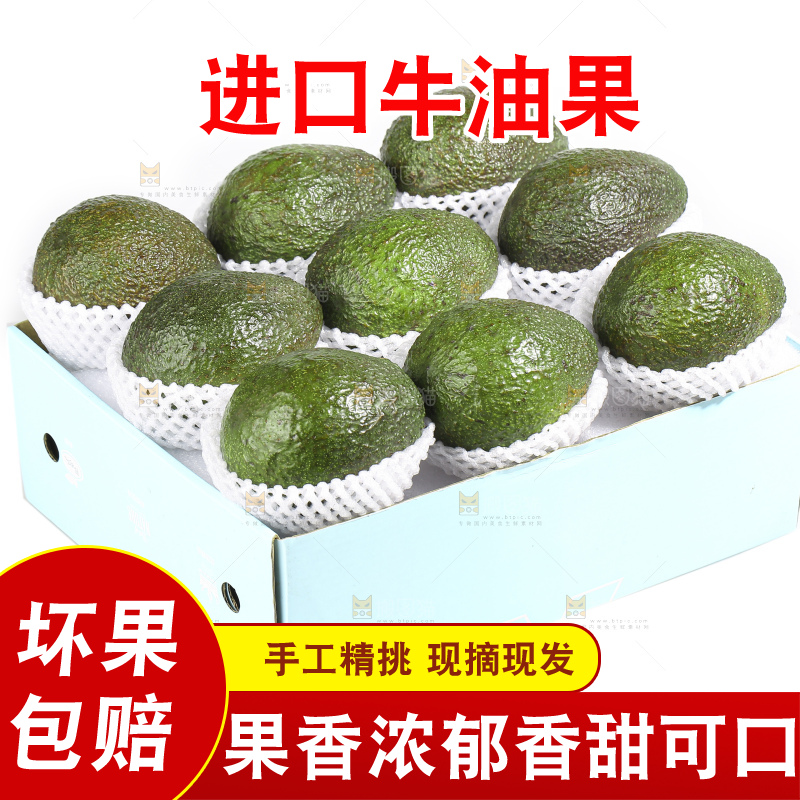 白底上的牛油果