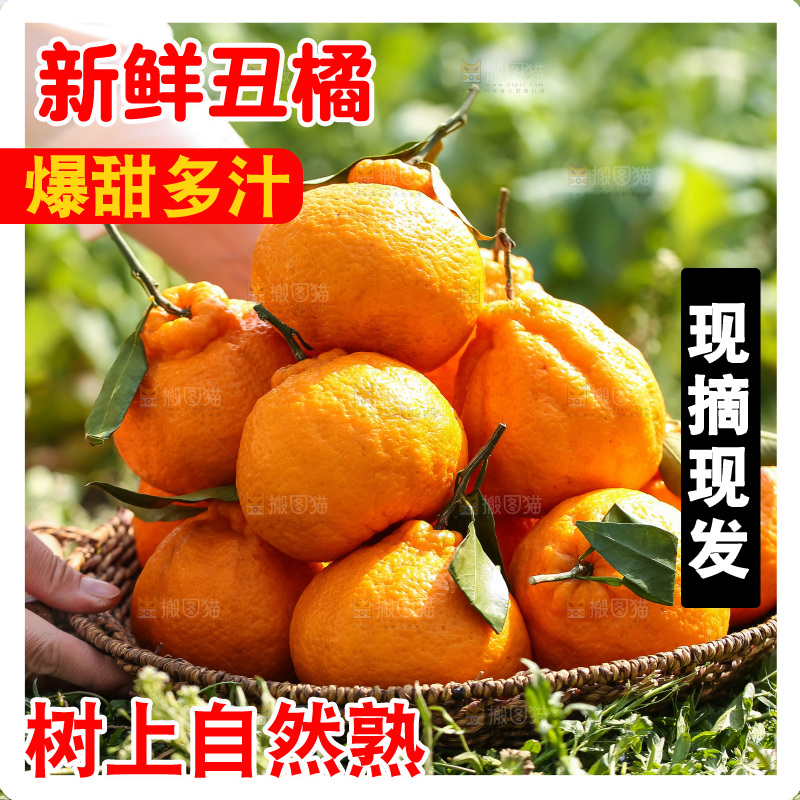 手里拿着丑八怪