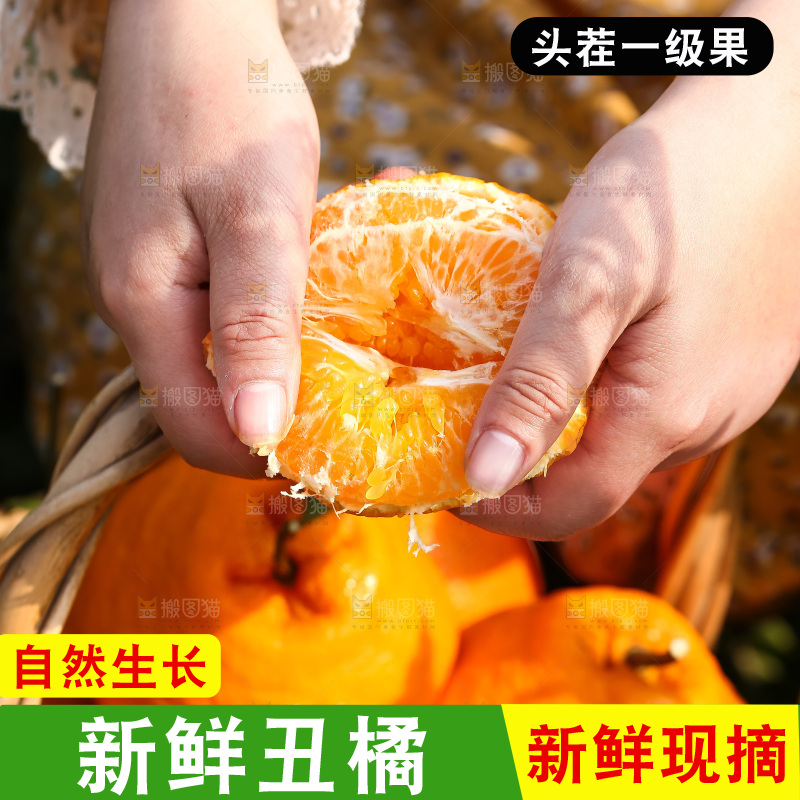 手里拿着丑八怪