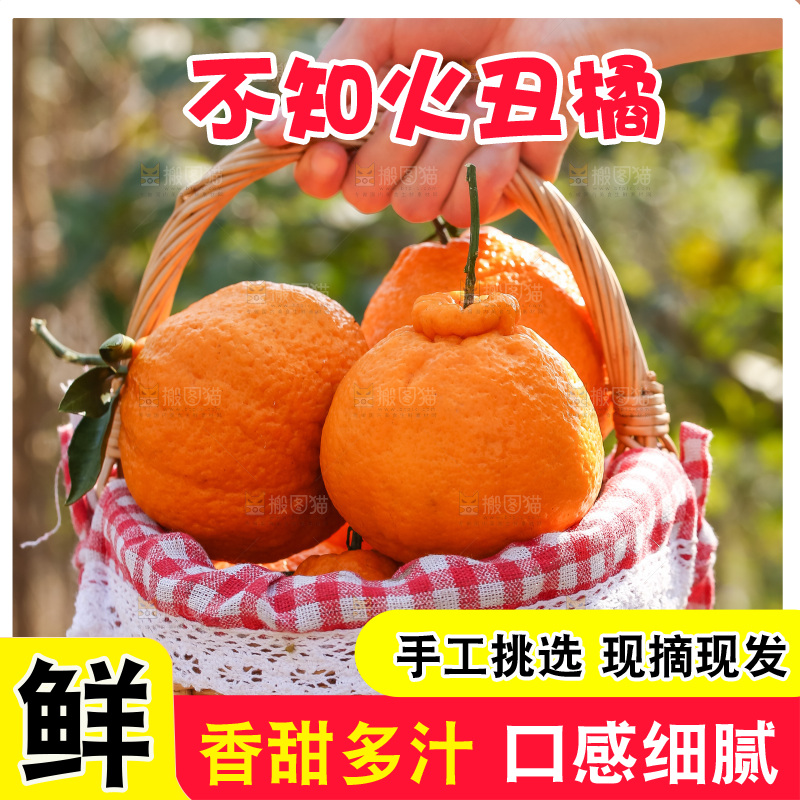 手里拿着丑八怪