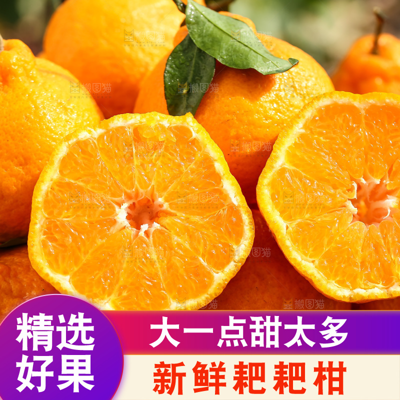 草地上的耙耙柑