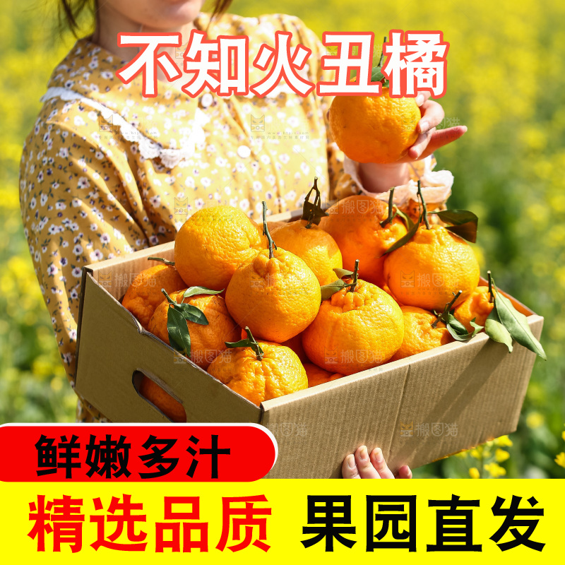手里拿着丑八怪