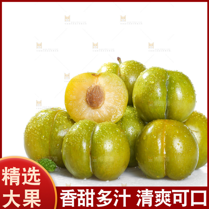 白底上的蜂糖李