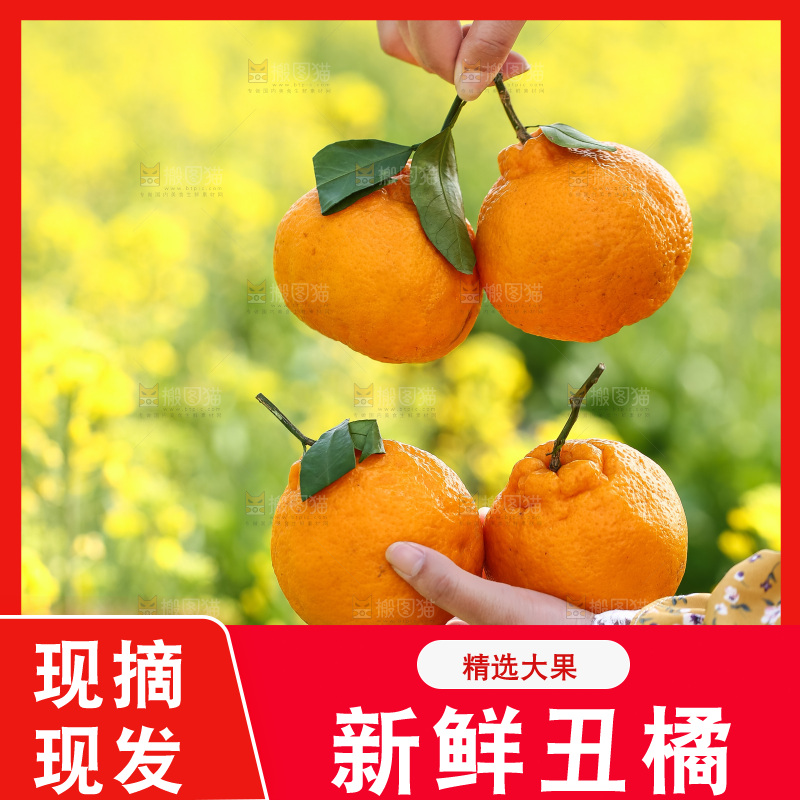 手里拿着丑八怪