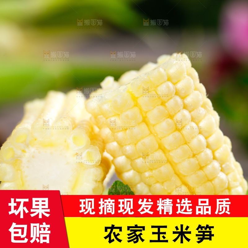 深底上的玉米笋