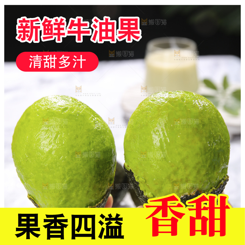 浅底上的巨无霸牛油果