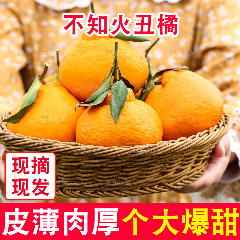 手里拿着丑八怪