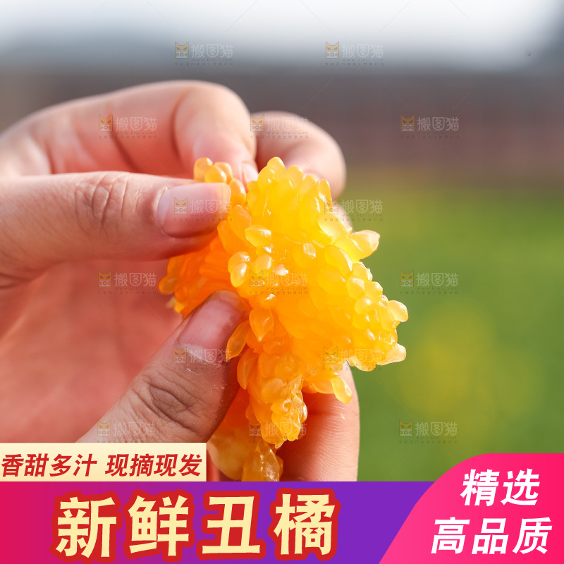 手里拿着丑八怪