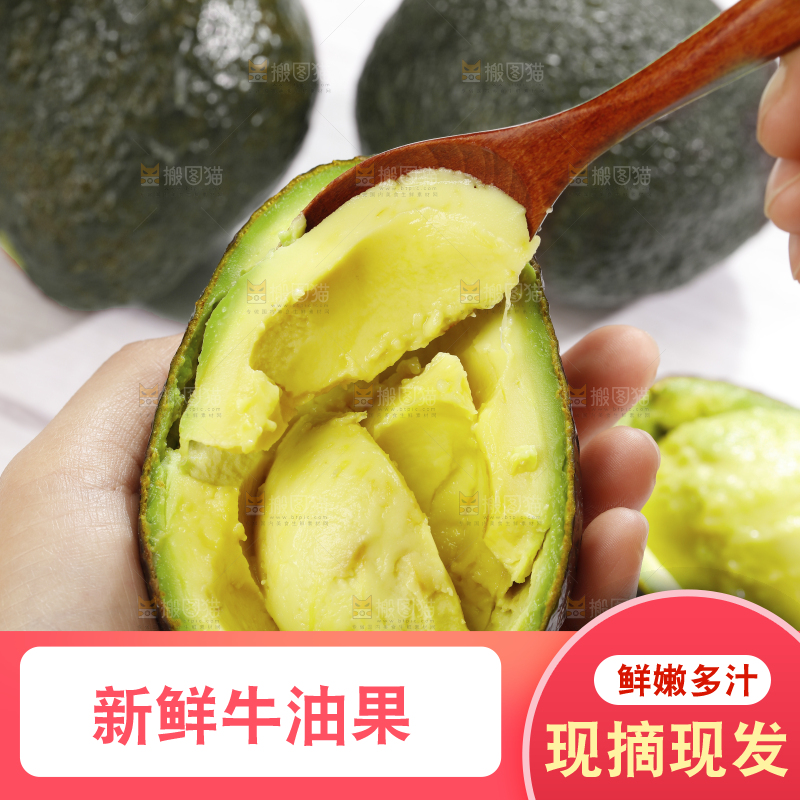 浅底上的巨无霸牛油果