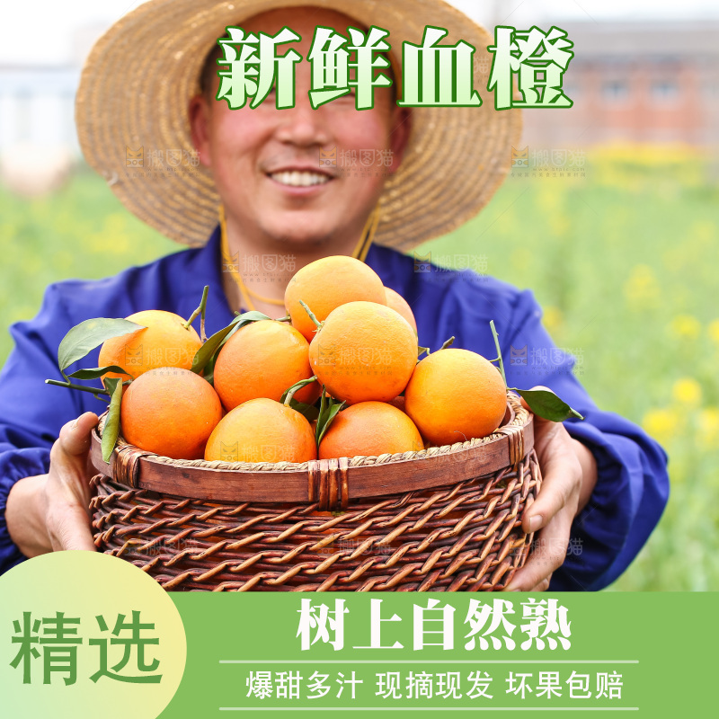 手里拿着赣南血橙