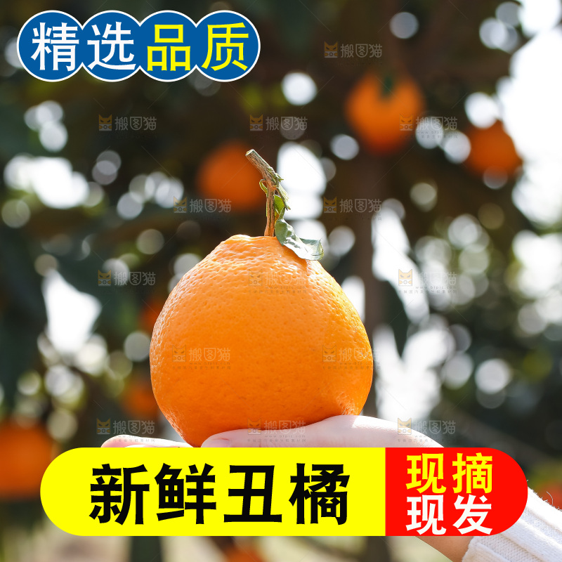 手里拿着丑八怪
