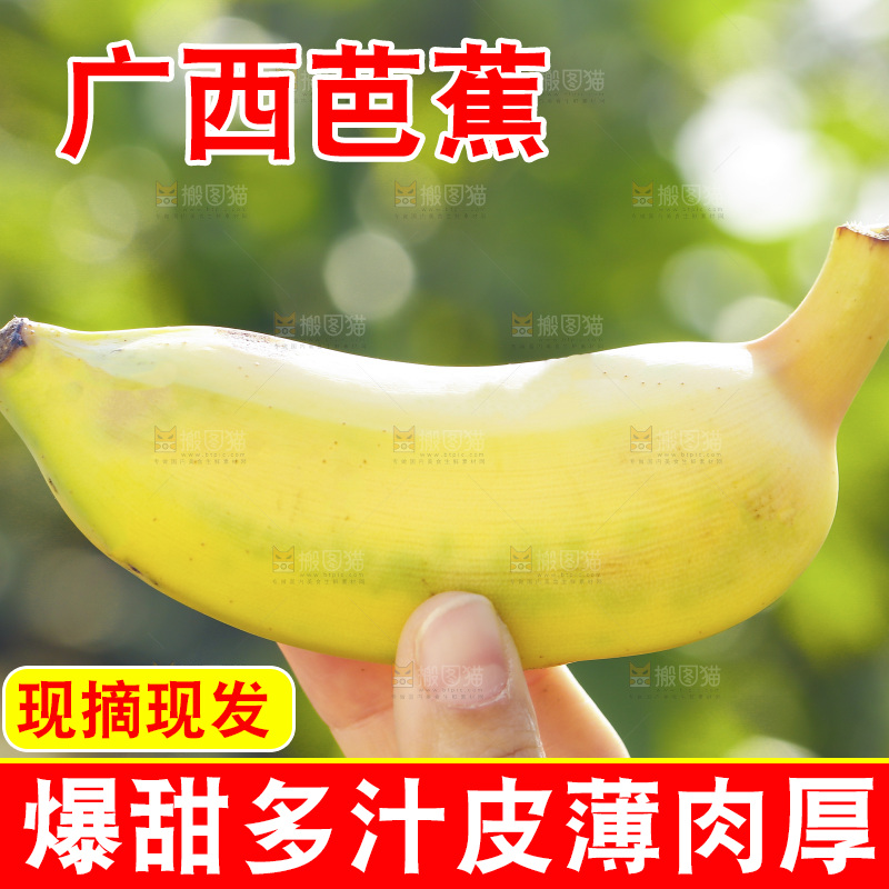手里拿着广西芭蕉