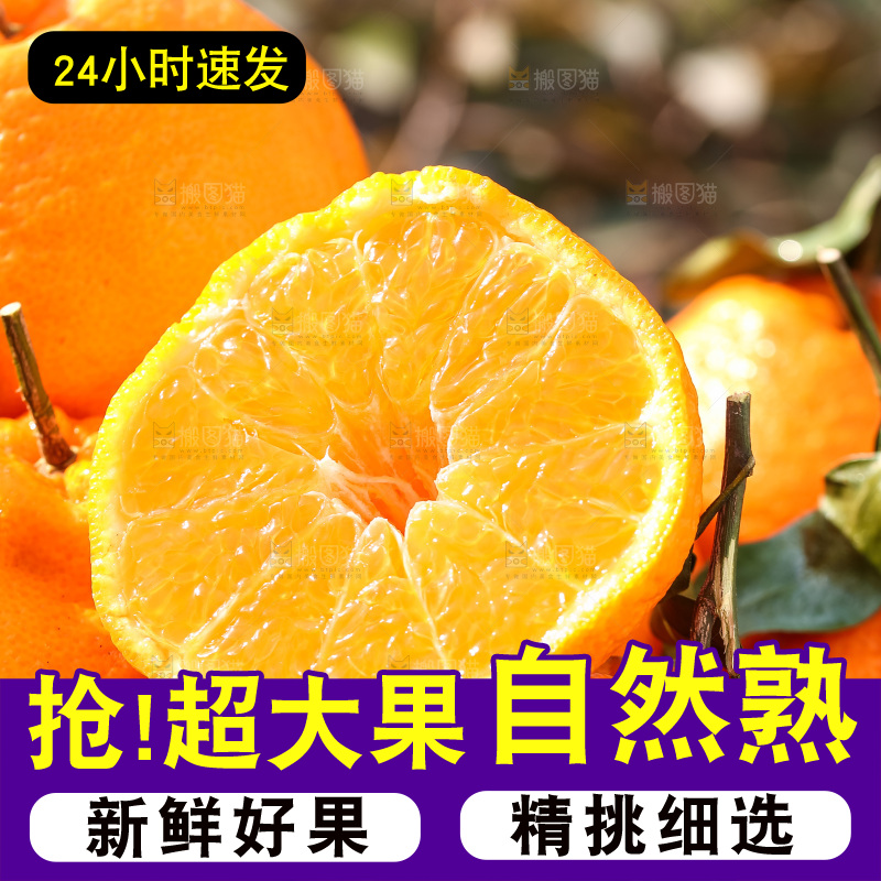草地上的耙耙柑