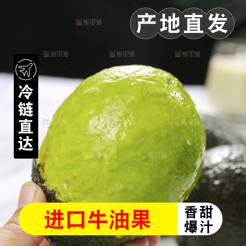 浅底上的巨无霸牛油果