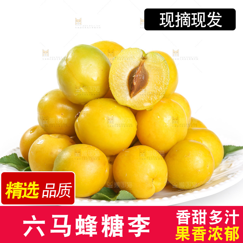 白底上的蜂糖李