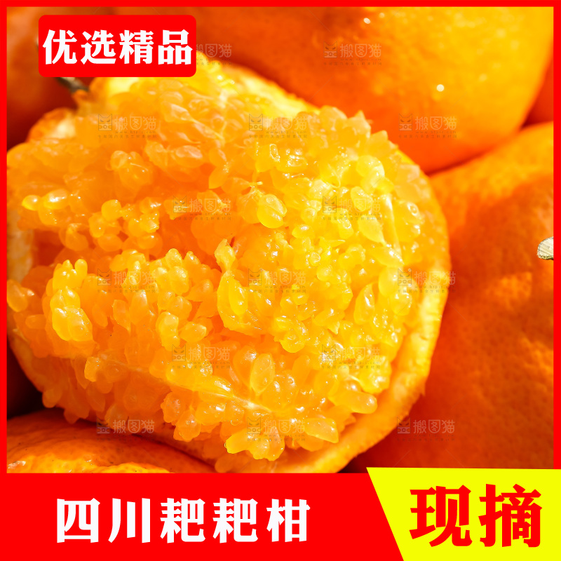 草地上的耙耙柑