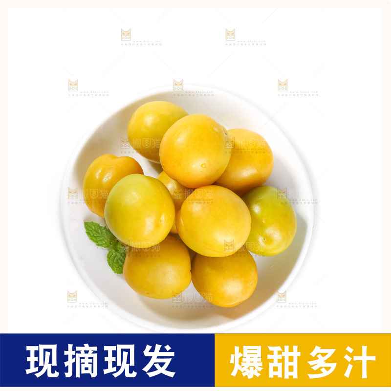 白底上的蜂糖李