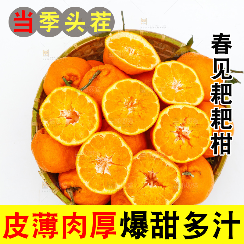 白底上的耙耙柑