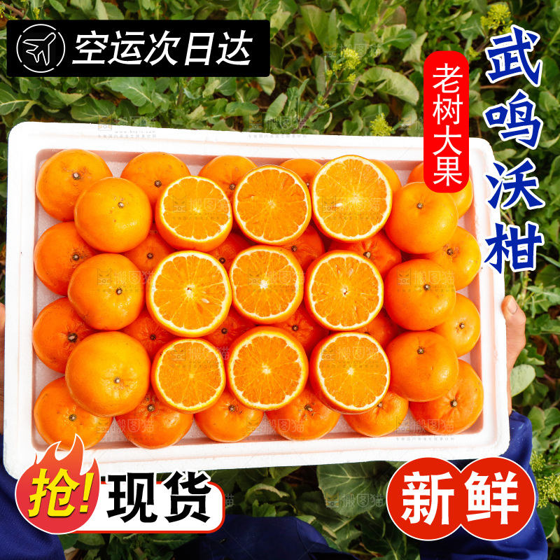 堆放着的新鲜沃柑