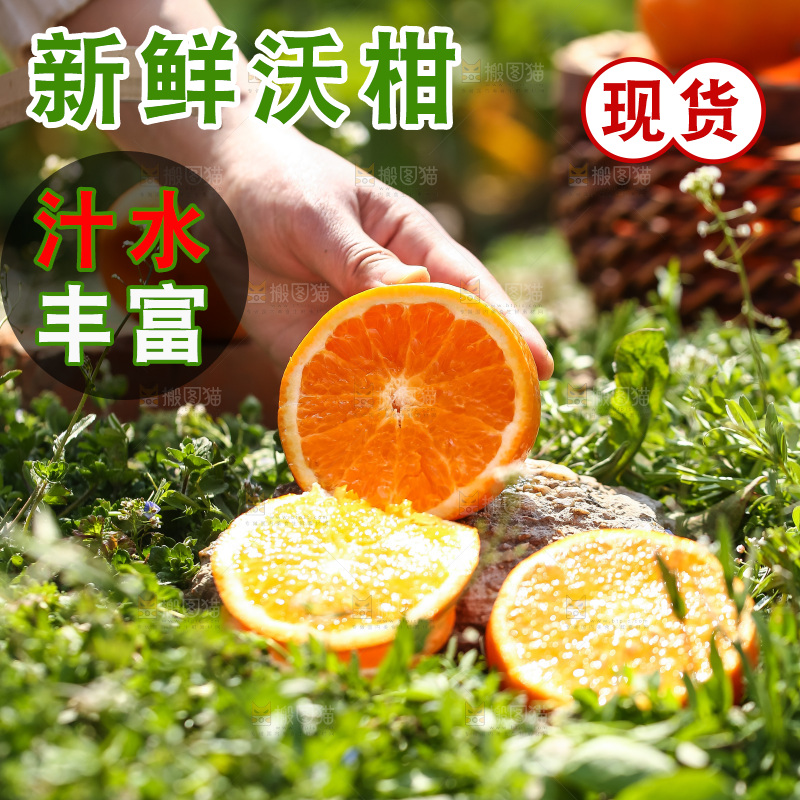手里拿着新鲜沃柑