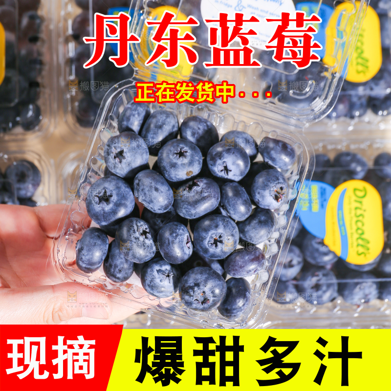 浅底上的新鲜蓝莓